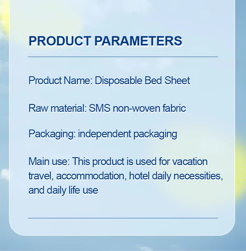 Disposable Bed Sheet 2 Disposable Bed Sheet 2